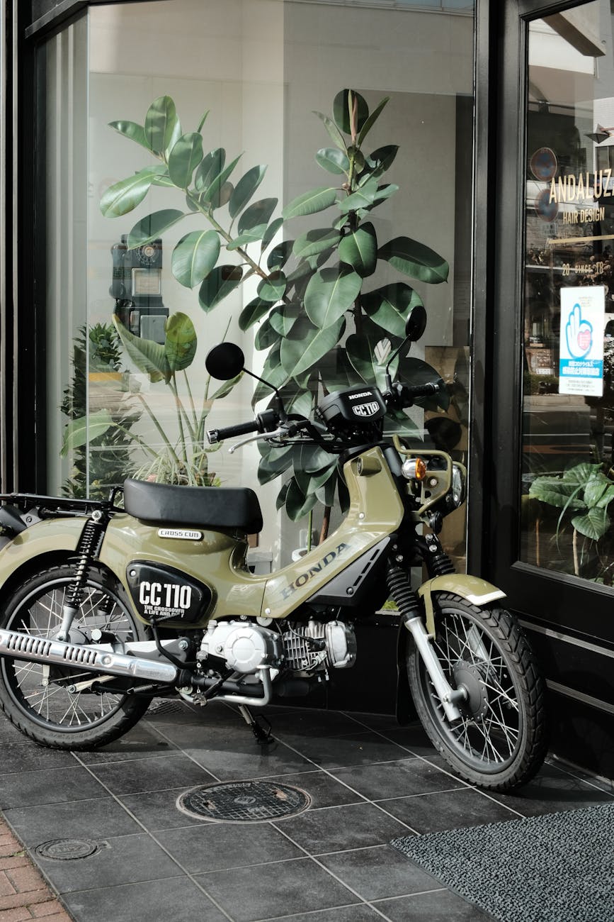 Beach Cruiser