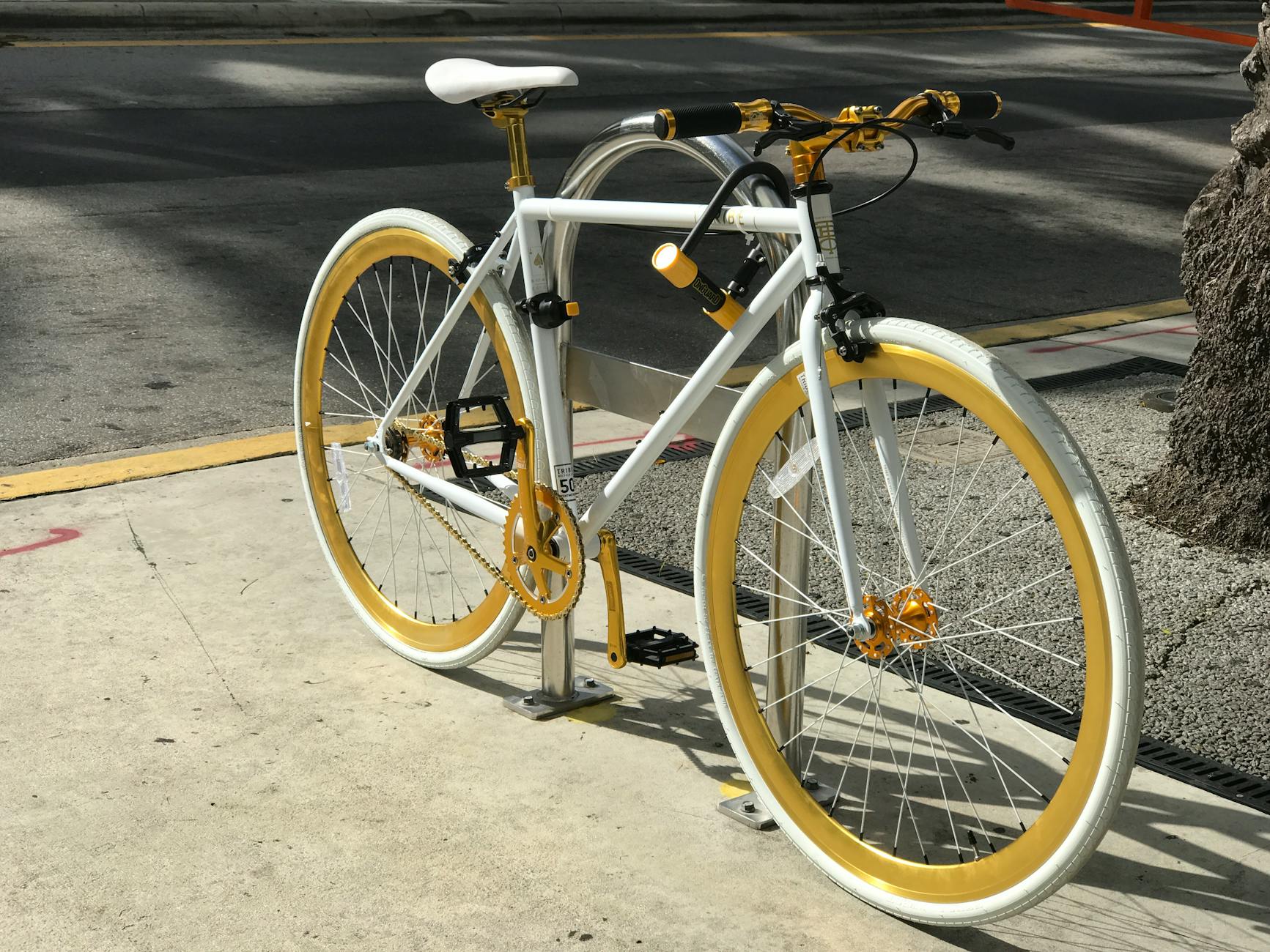 Sport Scooter